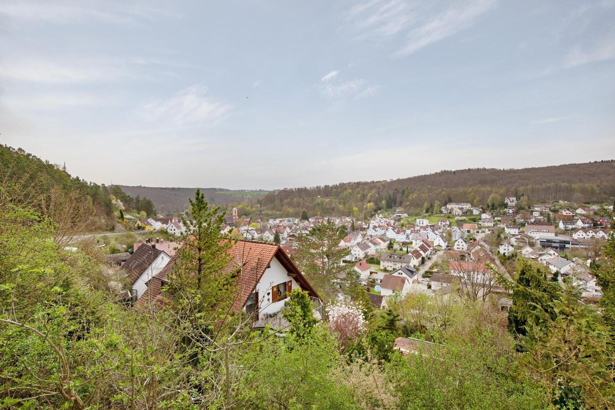 Lautertal Loft Lägenhet Blaustein Exteriör bild